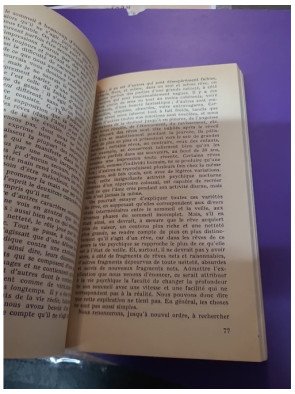 Introduction à la psychanalyse – Sigmund Freud