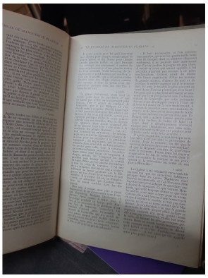 Le Journal de Marguerite Plantin – Jean Bertheroy