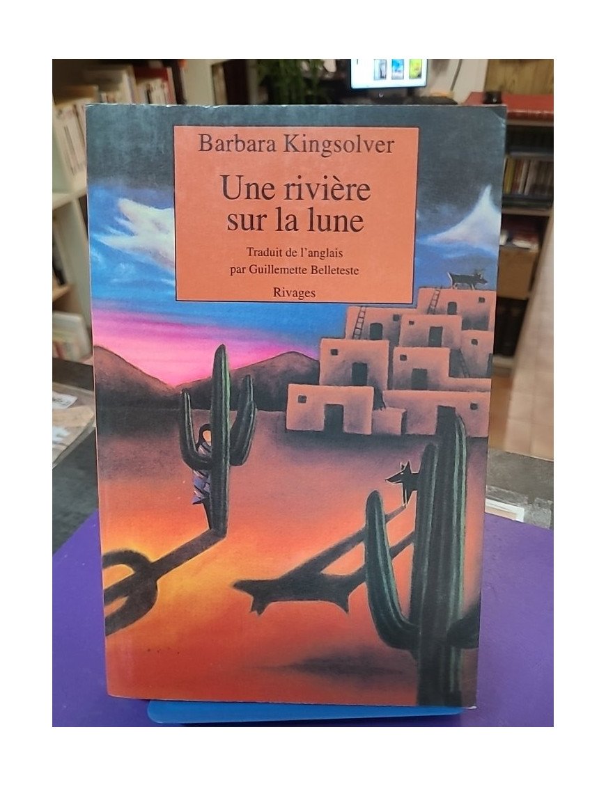 Une rivière sur la lune