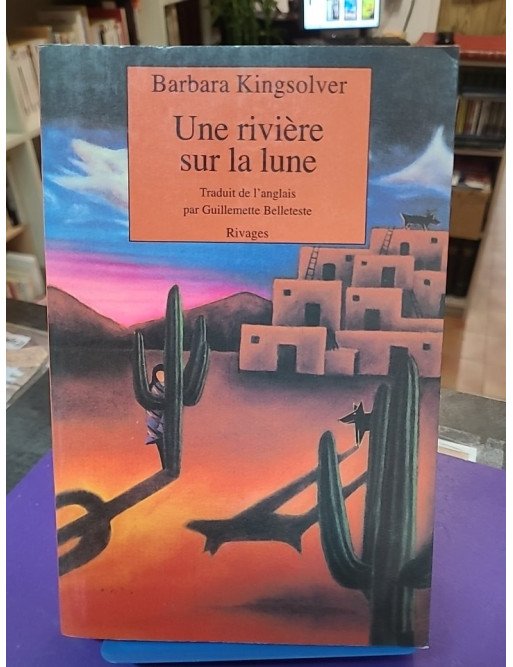 Une rivière sur la lune