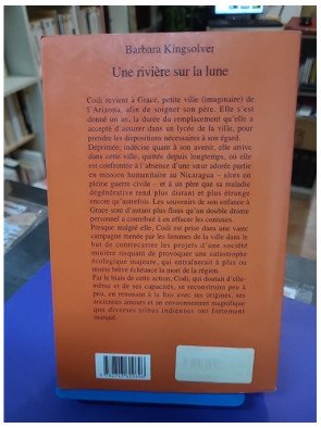 Une rivière sur la lune