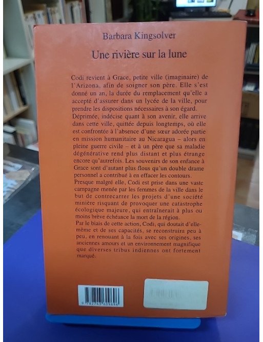 Une rivière sur la lune