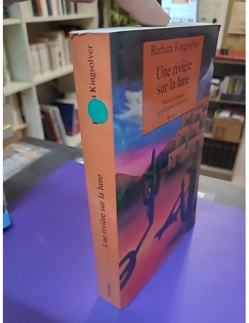 Une rivière sur la lune