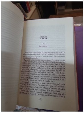 Une rivière sur la lune