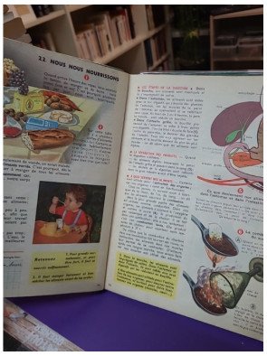 Exercices d'observation. Cours élémentaire et moyen