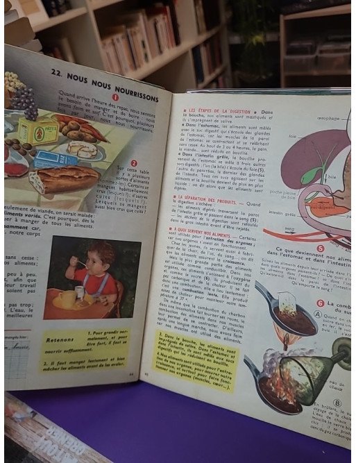 Exercices d'observation. Cours élémentaire et moyen