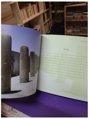 Aztec - Rachel Storm