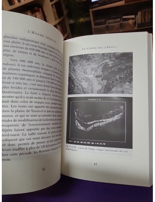 L'Homme premier – Préhistoire, évolution, culture – Henry de Lumley
