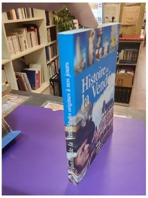 Histoire de la Vendée – Nicolas Delahaye