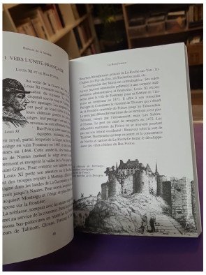 Histoire de la Vendée – Nicolas Delahaye