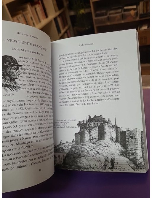 Histoire de la Vendée – Nicolas Delahaye