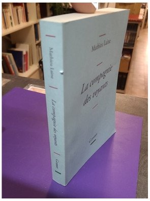 La compagnie des voyants – Ces grands romans qui nous éclairent – Mathieu Laine