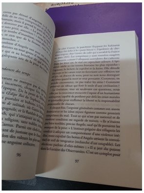 La compagnie des voyants – Ces grands romans qui nous éclairent – Mathieu Laine