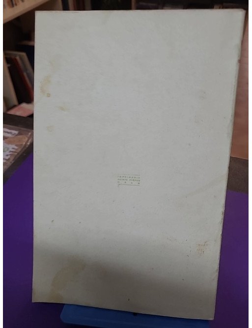 Les Allemands en France