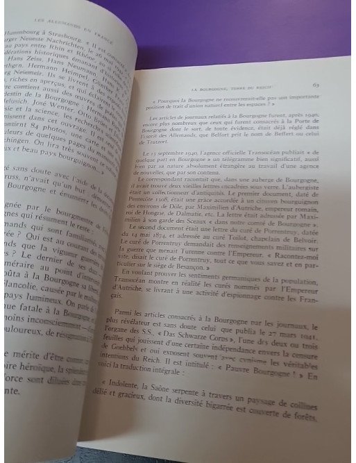 Les Allemands en France