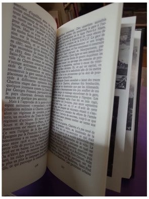 Chartres et l'énigme des druides