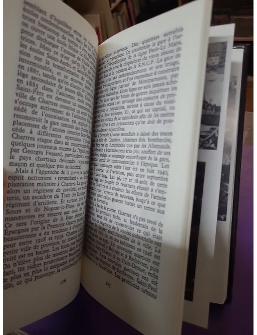 Chartres et l'énigme des druides