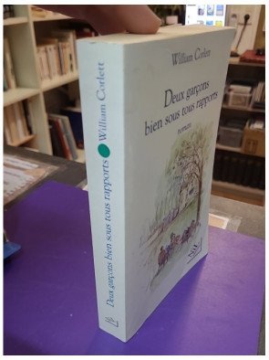 Deux garçons bien sous tous rapports