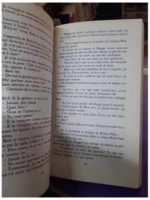 Deux garçons bien sous tous rapports