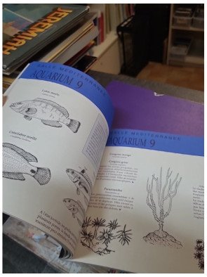 Comprendre la mer... Le livre de l'aquarium - Aquarium de La Rochelle