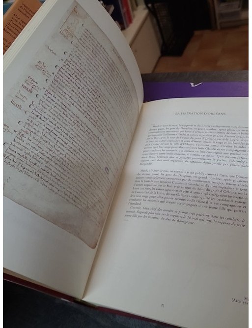 Les Plus Belles Pages Manuscrites de l’Histoire de France – Guy Lobrichon, Mauricette Berne