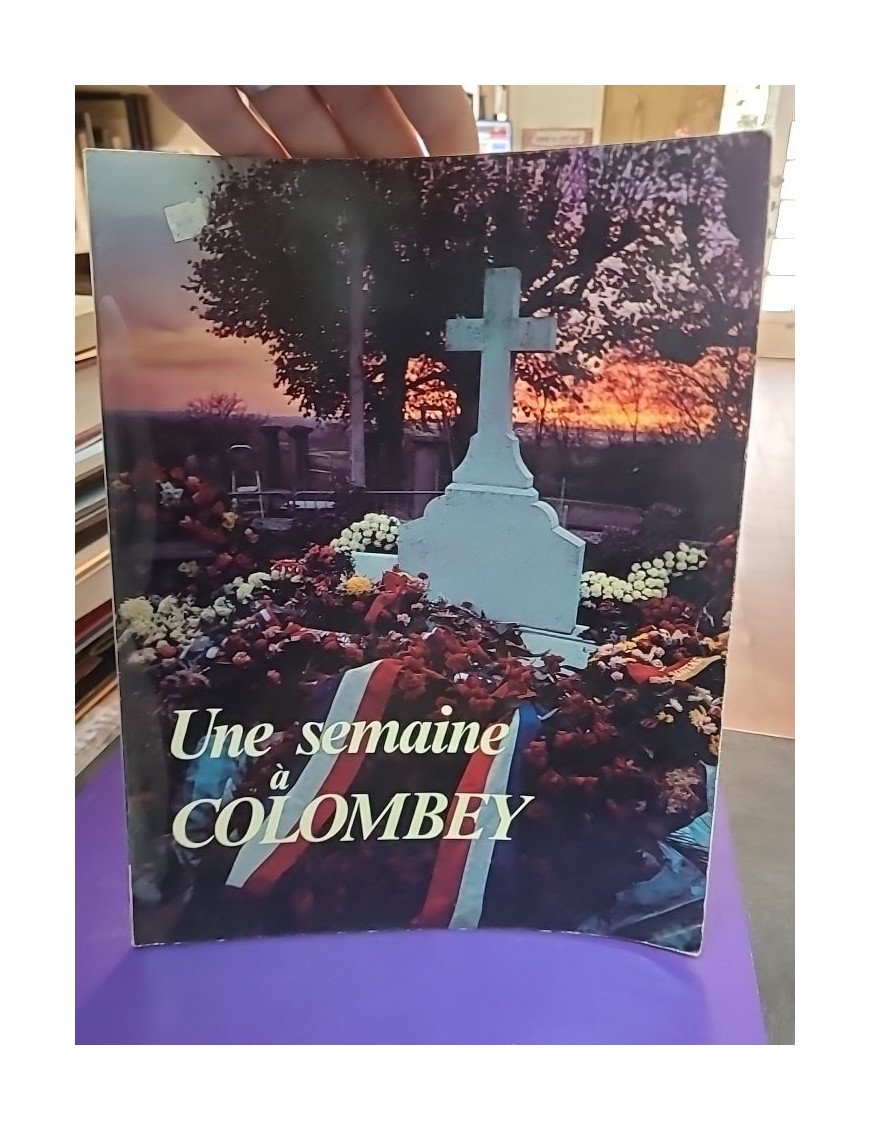 Une semaine à Colombey – Michel Radenac