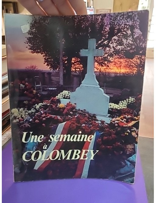 Une semaine à Colombey – Michel Radenac