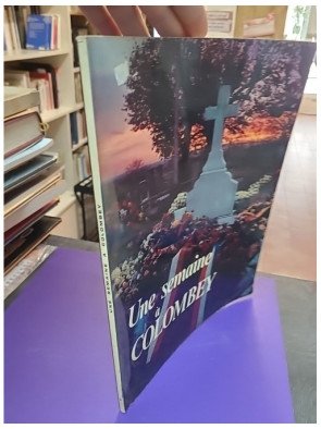 Une semaine à Colombey – Michel Radenac