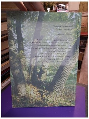 Micetto : l'itinéraire d'un rêveur solitaire