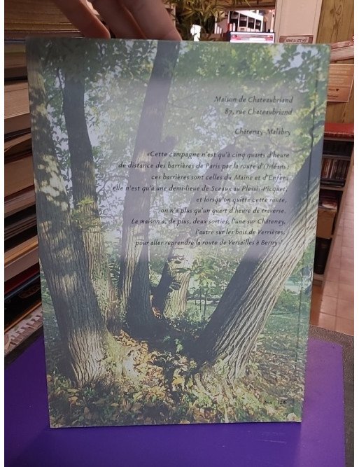 Micetto : l'itinéraire d'un rêveur solitaire