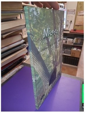 Micetto : l'itinéraire d'un rêveur solitaire