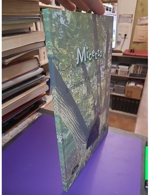 Micetto : l'itinéraire d'un rêveur solitaire
