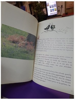 Micetto : l'itinéraire d'un rêveur solitaire