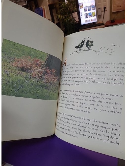 Micetto : l'itinéraire d'un rêveur solitaire