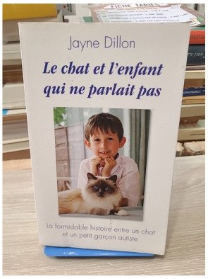 Le chat et l'enfant qui ne parlait pas – Jayne Dillon