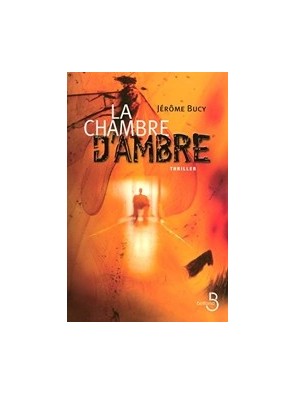 La Chambre d ambre de...