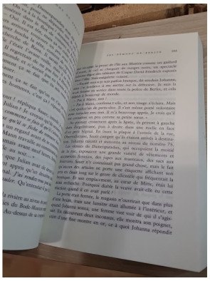 Les Démons de Berlin - Fabiano Massimi