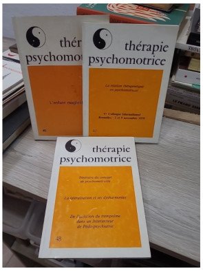 Lot de 3 magazines Thérapie psychomotrice (numéros 45, 47 et 48)