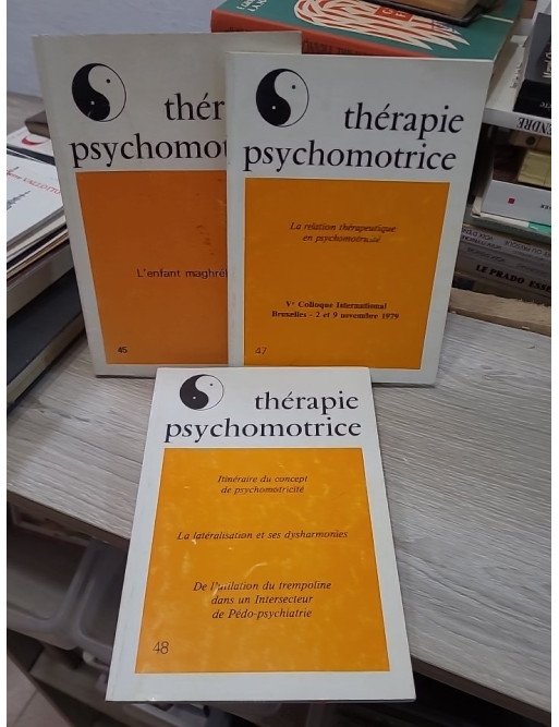 Lot de 3 magazines Thérapie psychomotrice (numéros 45, 47 et 48)