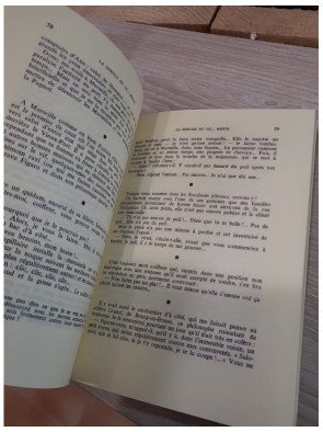 La Gueule… et le Reste (Souvenirs roses) – Tome II