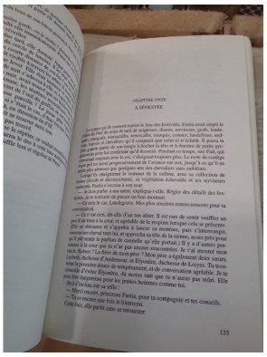 Le roi de bruyere Tome 1 Greg Keyes