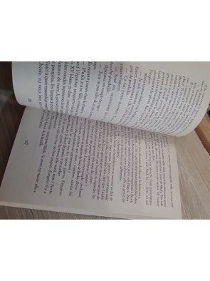 Les Pièges du passé – Elizabeth Adler