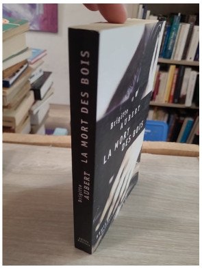 La Mort des bois – Brigitte Aubert