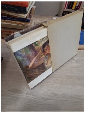 Renoir – Denis Rouart