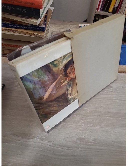 Renoir – Denis Rouart