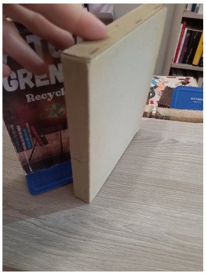 Renoir – Denis Rouart