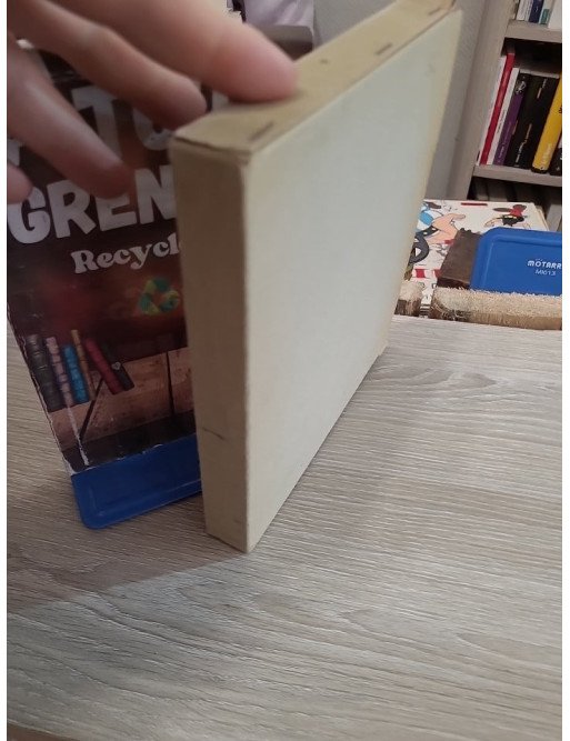 Renoir – Denis Rouart