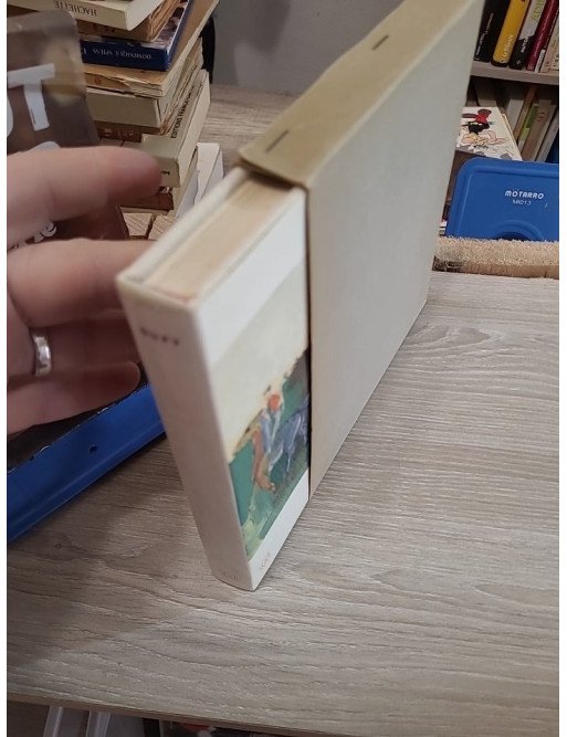 Dufy – Étude biographique et critique – Jacques Lassaigne