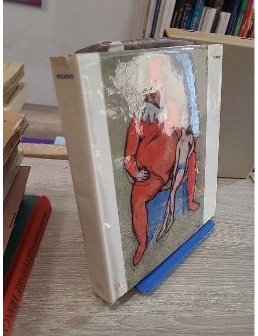 Picasso – Maurice Raynal