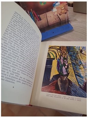 Picasso – Maurice Raynal